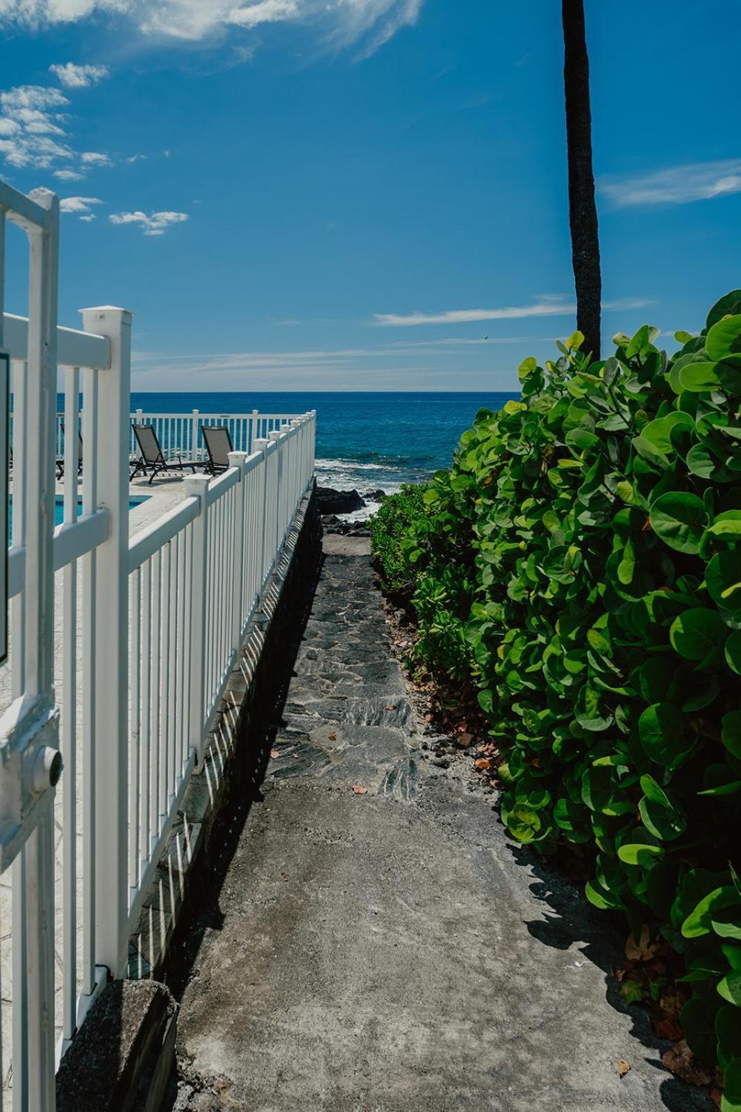 The Alani At Kona Shores Kailua-Kona Bagian luar foto